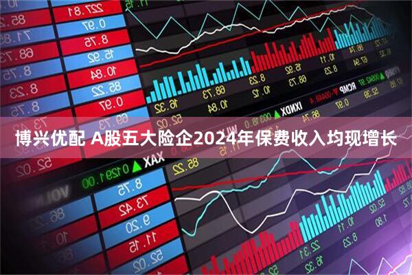 博兴优配 A股五大险企2024年保费收入均现增长