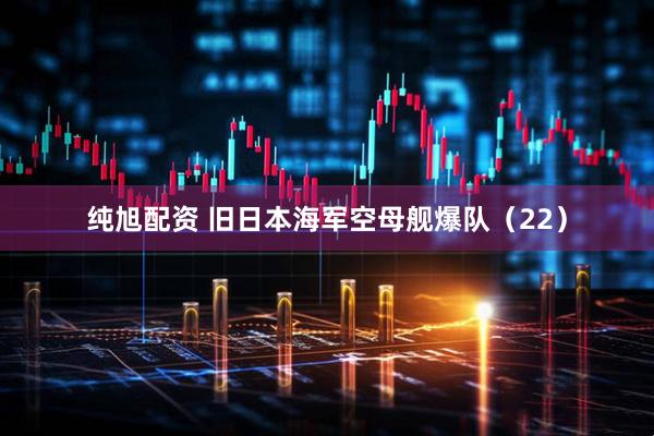 纯旭配资 旧日本海军空母舰爆队（22）