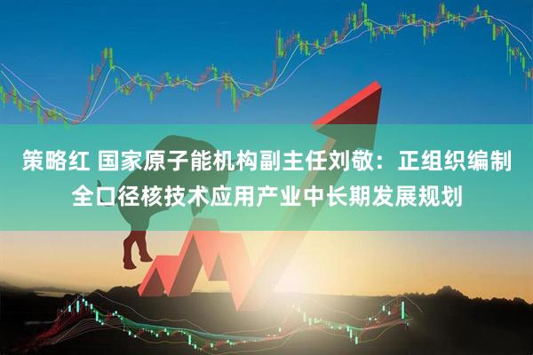 策略红 国家原子能机构副主任刘敬：正组织编制全口径核技术应用产业中长期发展规划