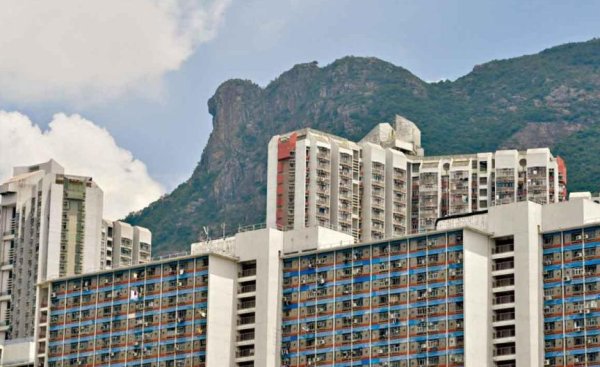 鸿E配资 躺平就是过自己想过的生活