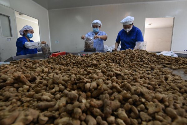 牛鑫所 除了阿胶，山东还有“潍九味”！潍坊“齐鲁药库”的硬核实力藏不住了